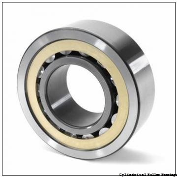 45 mm x 100 mm x 25 mm  45 mm x 100 mm x 25 mm  NACHI NJ309EG cylindrical roller bearings