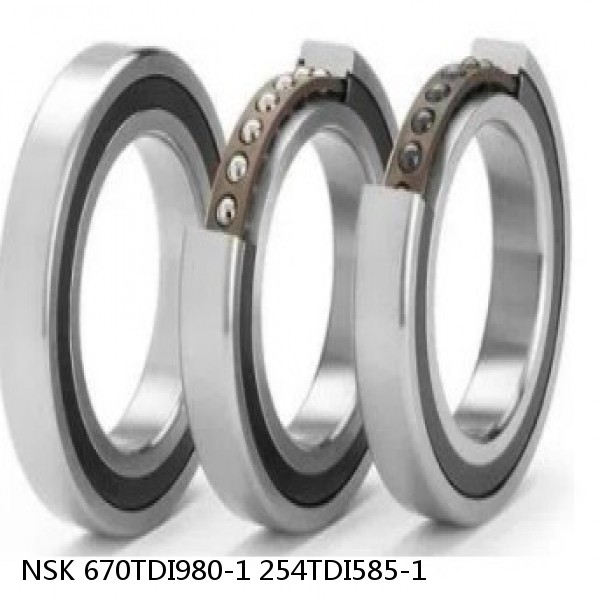 670TDI980-1 254TDI585-1 NSK Double direction thrust bearings