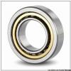 AST NUP2203 E cylindrical roller bearings