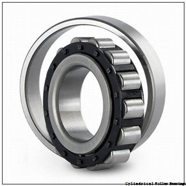 35 mm x 100 mm x 25 mm  35 mm x 100 mm x 25 mm  NACHI NUP 407 cylindrical roller bearings #1 image
