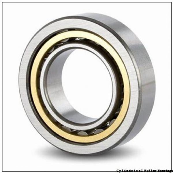 25 mm x 42 mm x 16 mm  25 mm x 42 mm x 16 mm  ISO NAO25x42x16 cylindrical roller bearings #1 image