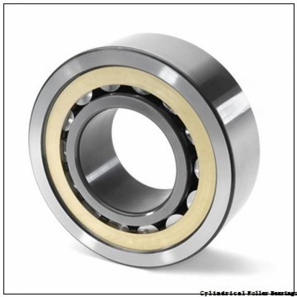 17 mm x 40 mm x 12 mm  17 mm x 40 mm x 12 mm  NACHI NUP 203 cylindrical roller bearings #1 image