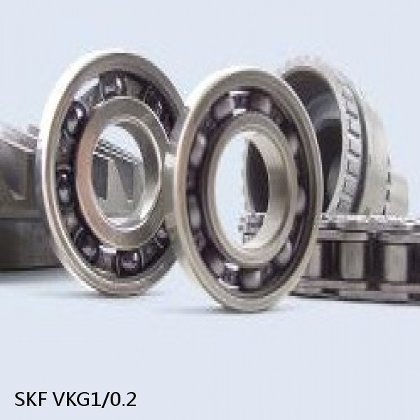 VKG1/0.2 SKF Bearing Grease #1 image