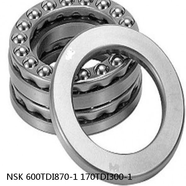 600TDI870-1 170TDI300-1 NSK Double direction thrust bearings #1 image